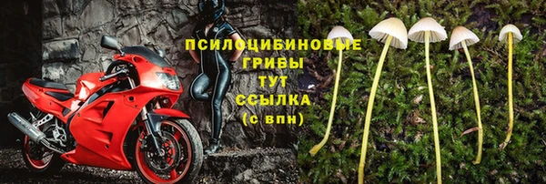 метадон Алексин