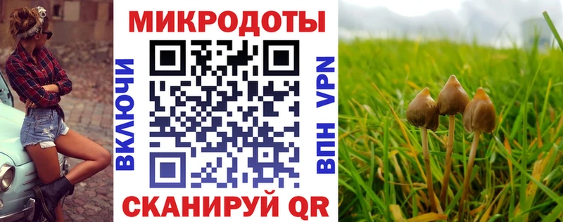 где купить наркотик  Комсомольск  Псилоцибиновые грибы мухоморы 